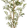 image:imageNearly Natural 82in Artificial Olive Tree Faux Greenery with Lifelike Branches for Indoor Home Decor