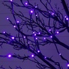 image:imageNearly Natural 8ft PreLit Halloween Black Twig Tree with 216 Orange amp Purple LED Lights