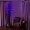 image:imageNearly Natural 8ft PreLit Halloween Black Twig Tree with 216 Orange amp Purple LED Lights