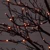 image:imageNearly Natural 8ft PreLit Halloween Black Twig Tree with 216 Orange amp Purple LED Lights