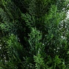 image:imageNearly Natural 9ft UV Resistant Artificial Cedar Pine Tree IndoorOutdoorGreen