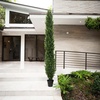image:imageNearly Natural 9ft UV Resistant Artificial Cedar Pine Tree IndoorOutdoorGreen