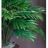 image:imageNearly Natural Areca Palm with Vase Silk Plant 38 x 27 x 25
