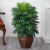 image:imageNearly Natural Areca Palm with Vase Silk Plant 38 x 27 x 25