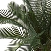 image:imageNearly Natural Artificial UV Resistant 2 Cycas Tree IndoorOutdoor Green 28 Dx28 Wx2H