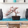 image:imageNearly Natural Cherry Blossom Bonsai Silk Tree Pink