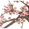 image:imageNearly Natural Cherry Blossom Bonsai Silk Tree Pink
