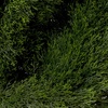image:imageNearly Natural Double Pond Cypress Spiral Topiary UV Resistant IndoorOutdoor