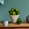 image:imageNearly Natural Faux Limes Set of 12