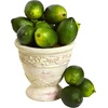 image:imageNearly Natural Faux Limes Set of 12
