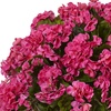 image:imageNearly Natural Geranium Silk Flowering Plant in Farmhouse Planter UV Resistant IndoorOutdoorBeauty