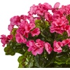 image:imageNearly Natural Geranium Silk Plant in Rectangular Planter UV Resistant IndoorOutdoorBeauty