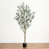 image:imageNearly Natural Greco Olive Tree Artificial Indoor 7FT Tall Designer Ultra Realistic Thick Trunk Faux Olive Tree for Home and Office Decor Fake Olive Tree with Olive Tree Branches and Lifelike Fruits