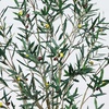 image:imageNearly Natural Greco Olive Tree Artificial Indoor 7FT Tall Designer Ultra Realistic Thick Trunk Faux Olive Tree for Home and Office Decor Fake Olive Tree with Olive Tree Branches and Lifelike Fruits