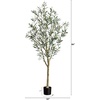 image:imageNearly Natural Greco Olive Tree Artificial Indoor 7FT Tall Designer Ultra Realistic Thick Trunk Faux Olive Tree for Home and Office Decor Fake Olive Tree with Olive Tree Branches and Lifelike Fruits