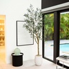 image:imageNearly Natural Greco Olive Tree Artificial Indoor 7FT Tall Designer Ultra Realistic Thick Trunk Faux Olive Tree for Home and Office Decor Fake Olive Tree with Olive Tree Branches and Lifelike Fruits
