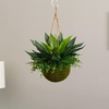 image:imageNearly Natural UV Resistant Artificial Agave and Maiden Hair in Hanging Basket Outdoor Faux Plant For Patio Deck Balcony Indoor Front Porch Decor
