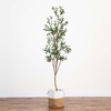image:imagePotted Artificial Olive Tree with Handmade Jute Planter  7  Green