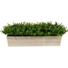 image:image19in Eucalyptus Artificial Plant in Decorative Planter19 in W x 5 in D x 8 in H