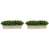 image:image19in Eucalyptus Artificial Plant in Decorative Planter19 in W x 5 in D x 8 in H Pack of 2