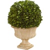 image:imageNearly Natural 12 in Artificial Boxwood Topiary Ball in Decorative Urn