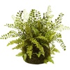 image:imageNearly Natural 13 in Artificial Mixed Fern Twig Moss Basket Home Room Decor
