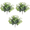 image:imageNearly Natural 19in UV Resistant Artificial Fittonia Bush IndoorOutdoor  Set of 3