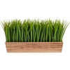 image:imageNearly Natural 20 in Artificial Vanilla Grass Plant in Decorative Planter