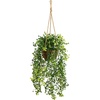 image:imageNearly Natural 20in Baby Tear Artificial Plant in Hanging Basket