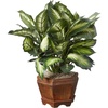 image:imageNearly Natural 22 in Artificial Triple Golden Dieffenbachia with Wood Vase