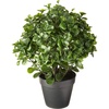 image:imageNearly Natural 23 in Artificial Peperomia UVResistant Outdoor Porch DecorGreen