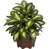 image:imageNearly Natural 24 in Artificial Golden Dieffenbachia Plant with Pot