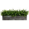 image:imageNearly Natural 25 in Eucalyptus Artificial Plant with Grey Planter