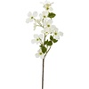 image:imageNearly Natural 26 in Artificial Dogwood Flower Set of 12