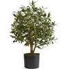 image:imageNearly Natural 29in Olive Artificial Tree