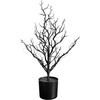 image:imageNearly Natural 2ft PreLit Halloween Black Spooky Twig Tree with 60 Orange amp Purple LED Lights