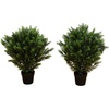 image:imageNearly Natural 3 ft Artificial Cedar Tree UVResistant Outdoor Porch Decor