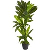 image:imageNearly Natural 3 ft Artificial Dracaena Real Touch Plant for Home Office