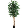 image:imageNearly Natural 3 ft Artificial Ficus Tree with Natural Wood Trunks6ft 2in