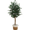 image:imageNearly Natural 3 ft Artificial Ficus Tree with Natural Wood Trunks6ft
