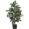 image:imageNearly Natural 3 ft Zebra Artificial Plant with Striped Leaves and Pot