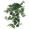 image:imageNearly Natural 32 in Artificial Puff Ivy Hanging Plant Set for Room Decor
