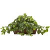 image:imageNearly Natural 34 in Artificial Pothos Ivy Plant with Ledge Basket