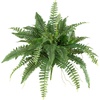 image:imageNearly Natural 40 in Artificial Boston Fern Indoor Plant Set of 240 In W x 15 In H