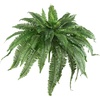 image:imageNearly Natural 40 in Artificial Boston Fern Indoor Plant Set of 248 In W x 21 In H