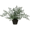 image:imageNearly Natural 4251 Maiden Hair Artificial Plant in Planter Green Small
