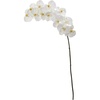 image:imageNearly Natural 44in Phalaenopsis Orchid Artificial Flower Set of 3