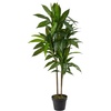 image:imageNearly Natural 48 in Artificial Dracaena RealTouch Plant with PotGreen