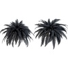 image:imageNearly Natural 48in Artificial Halloween Black Boston Fern Set of 2  Spooky Season Decor