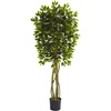 image:imageNearly Natural 55ft Ficus Tree UV Resistant IndoorOutdoor